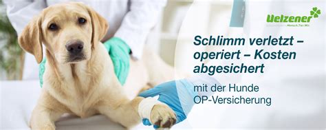 R+V HundeOPVersicherung ab 8,00 € │ VS.