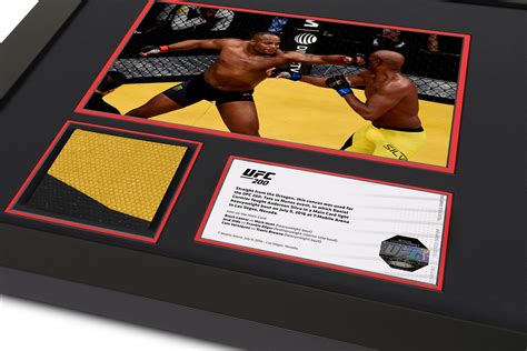 ufc 200 canvas