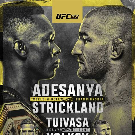 ufc 293 full fight video