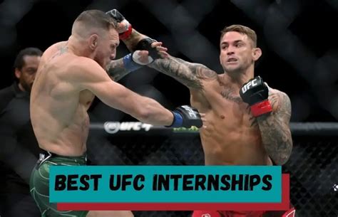 ufc internships