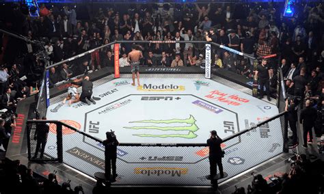 ufc lighting