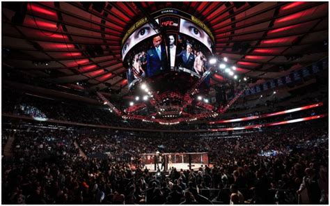 ufc november 6 tickets