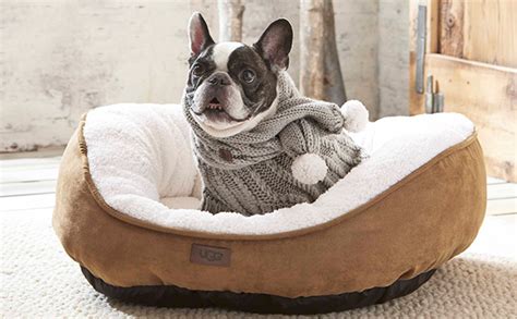 Ugg Dog Bed Bath And Beyond