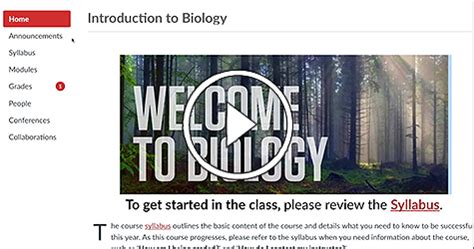 5 UHV Canvas Login Tips
