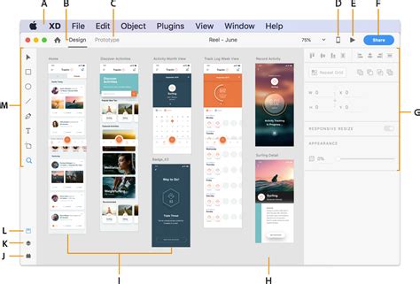 Adobe XD UI & UX Design with 8 real world project 2020