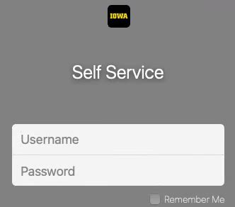 uiowa self service