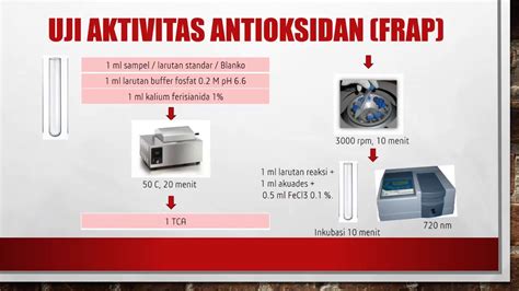 (PDF) Uji Aktivitas Antioksidan Teh Daun Sirsak (Annona Muricata Linn