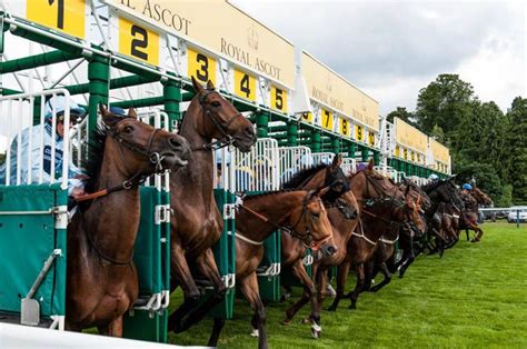 uk horse racing tracks