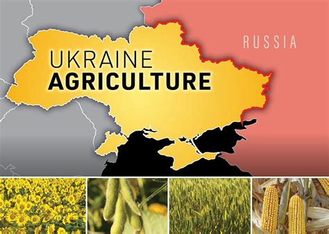 ukraine's agriculture ministry