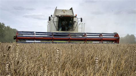 ukraine grain deal latest