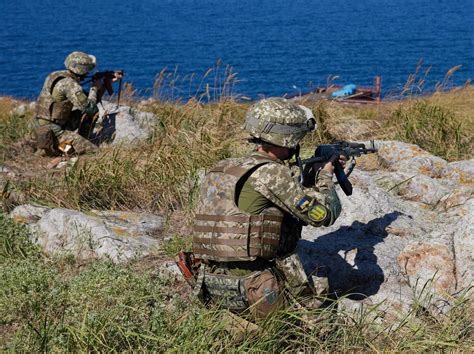 ukraine island soldiers