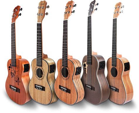 Ukulele Beginner Left Handed