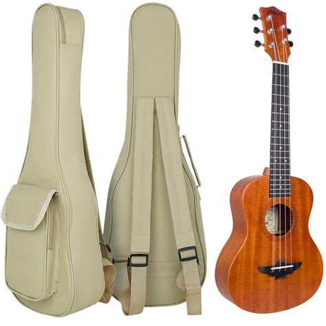 Ukulele Case Cost
