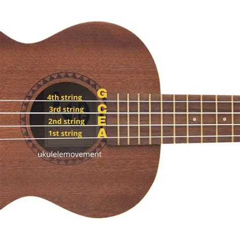 Ukulele Have Strings