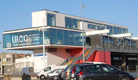 Une nouvelle licence pro à Boulogne-sur-Mer à la rentrée 2014 | La