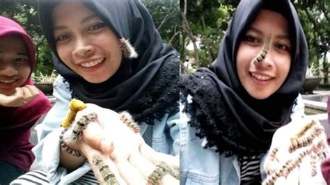 Ulat Bulu