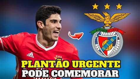 ultimas noticias do benfica