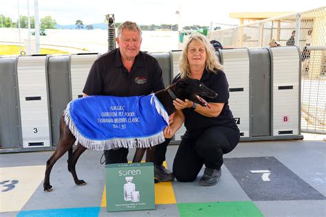 Ulverstone Pet Works