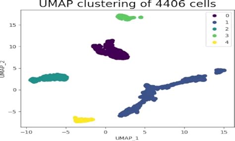 Exploring Umap In Python: A Beginner&#039;s Guide