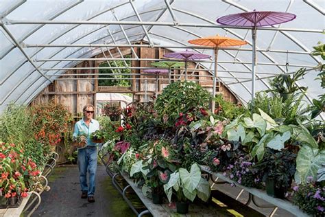 Umbrella Factory Gardens