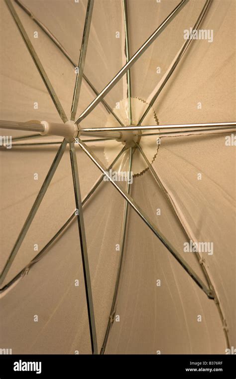 Umbrella Picture Frame