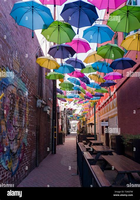 Umbrellas At Redlands