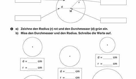 Kreisumfang - Herleitung | Kreisumfang, Arbeitsblätter, Matheaufgaben