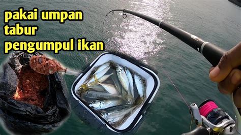 Resep Umpan Ikan Kembung Terbaik Dan Paling Mujarab!