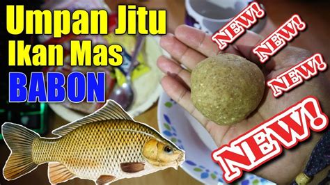 Umpan Ikan Mas Essen, Tips Dan Trik Bermain Di 2023