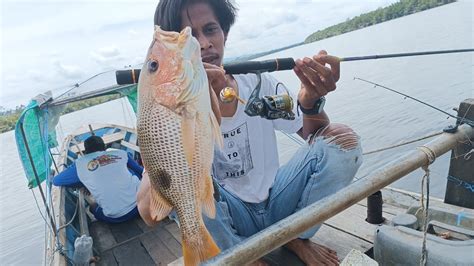 Umpan Ikan Otek, Rahasia Sukses Memancing Ala Nelayan Indonesia
