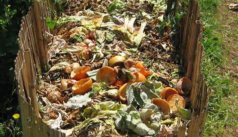 Con el compost devolvemos valiosos nutrientes al suelo
