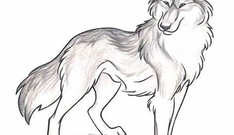 1001 + astuces d'artiste pour apprendre à réaliser un dessin de loup
