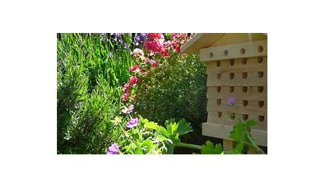 Installer un rucher dans son jardin : pourquoi ? Comment ? | Confordomo