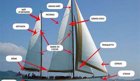 Reconnaître les types de bateaux à voile