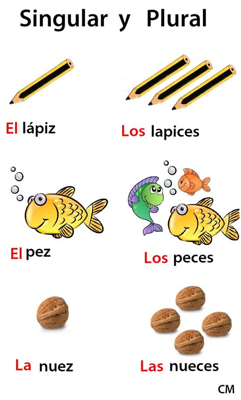 un lapiz plural