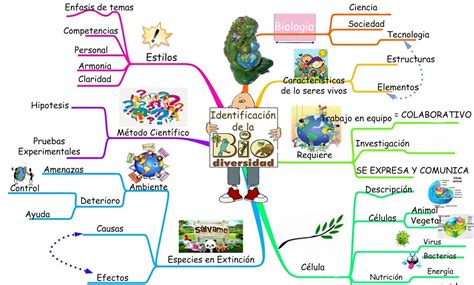 Un Mapa Mental De La Biodiversidad