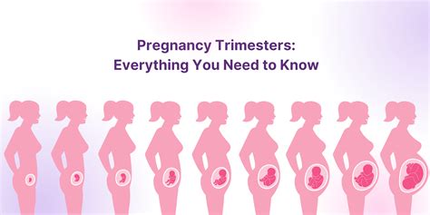 unable to work first trimester reddit