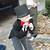 uncle pennybags costume