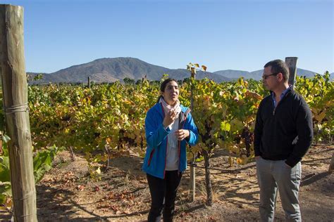 uncorked wine tours chile