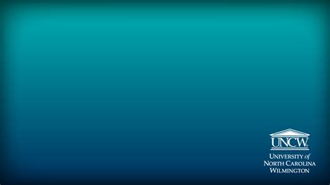 uncw passport services