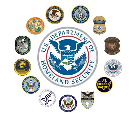 under the department of homeland security