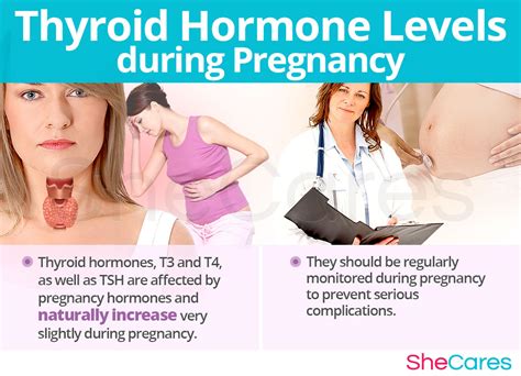 underactive thyroid problems in pregnancy