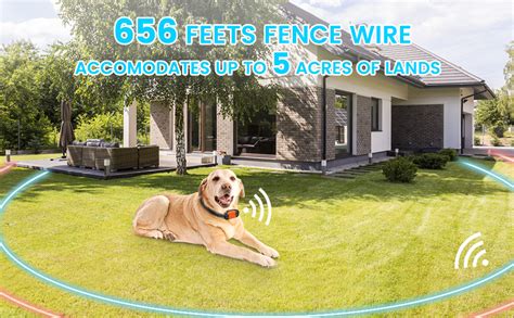 Underground Dog Fence Double Loop