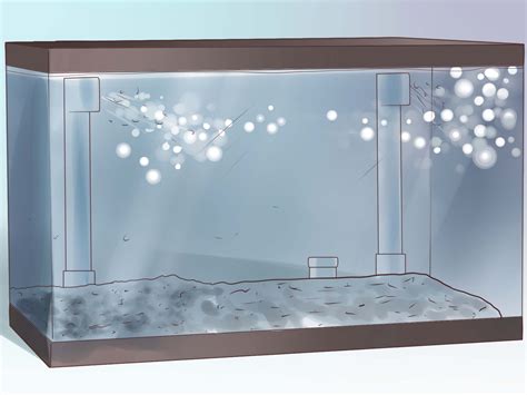 underground filter fish tank
