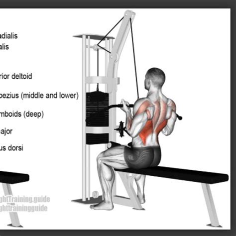Underhand Cable Pull Downs