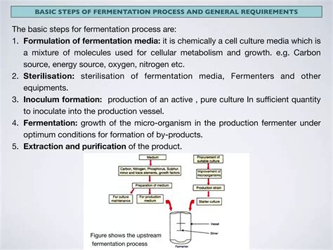 understand How Biometric Technology ferment