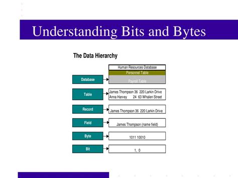 understanding bits and bytes
