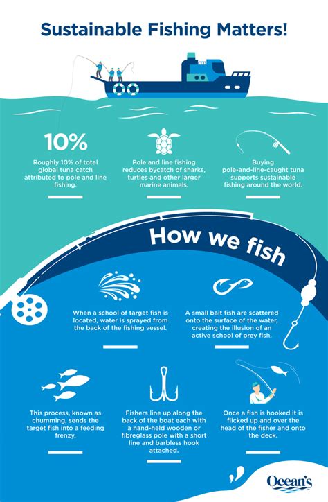 Understanding Fishing Needs and Environment