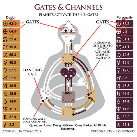 understanding human design gates