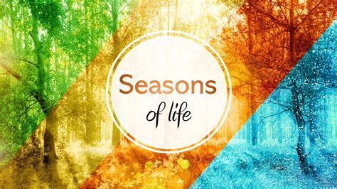 understanding the seasons of life